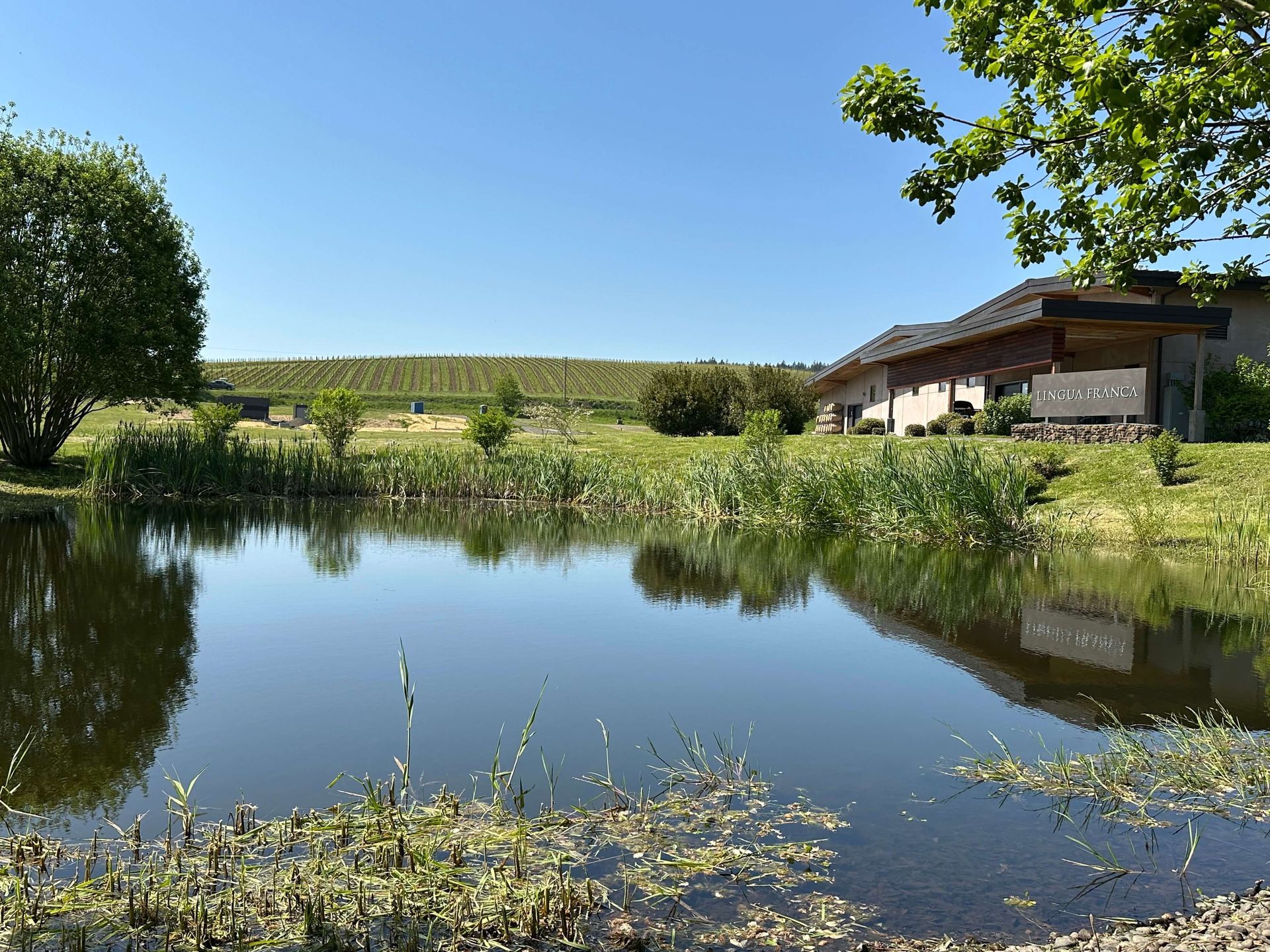 Oregon’s Willamette Valley private wine tour from Portland.