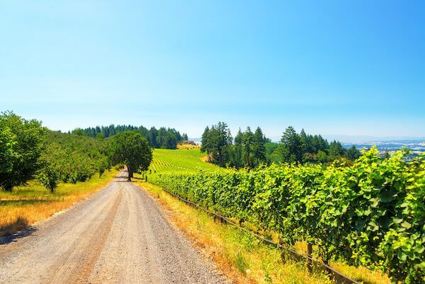custom wine tours from Portland to McMinnville OR
