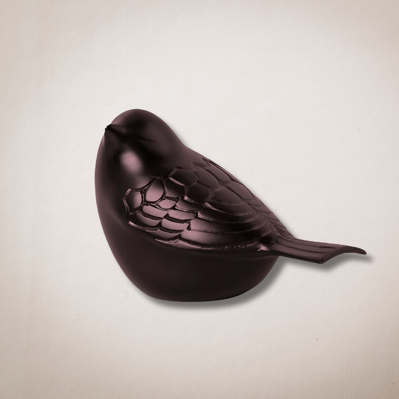 Een kleine zwarte vogel zit op een wit oppervlak