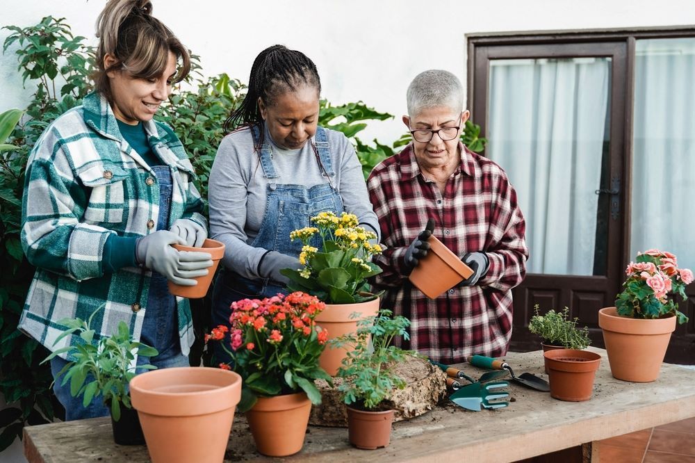 A Group of People Are Planting Flowers in Pots on a Table โ Eleos Support Services In Lavington, NSW