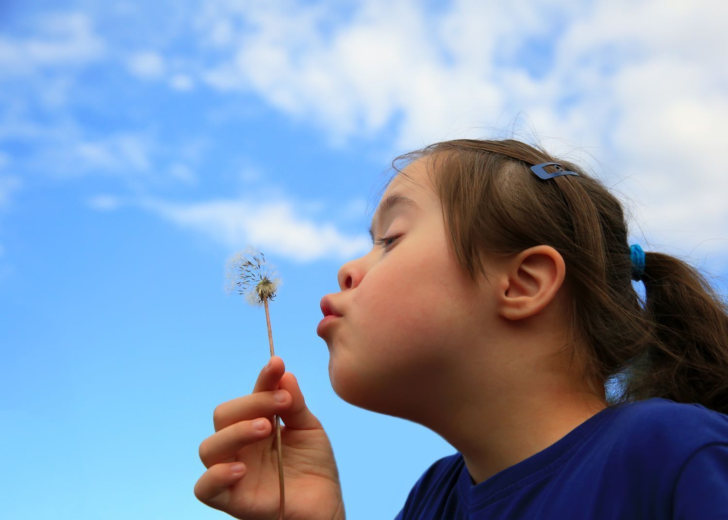 Little Girl Blowing Dandelion On Background Of The Blue Sky โ Eleos Support Services In Lavington, NSW