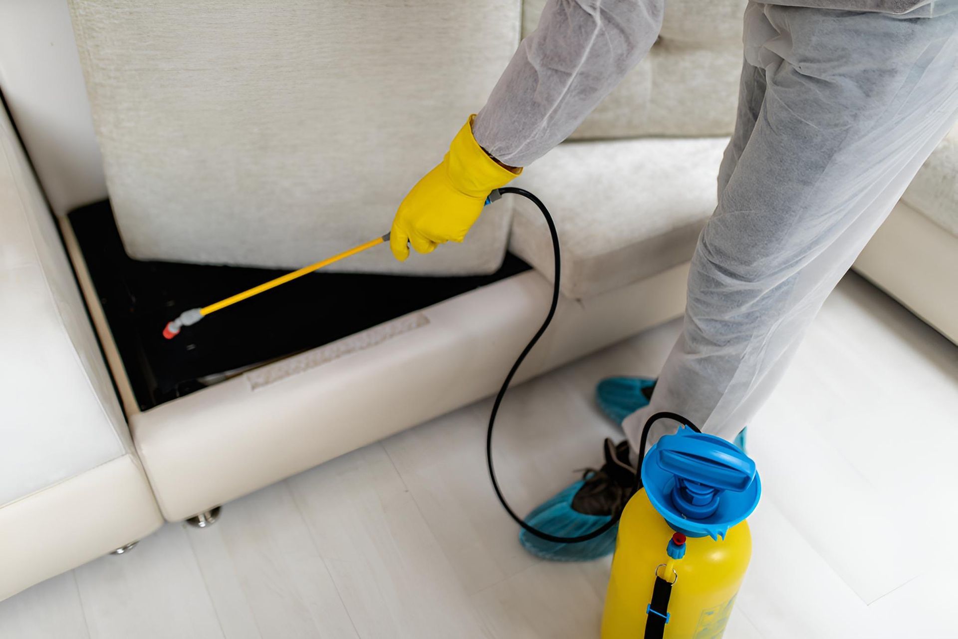 Person is Spraying a Couch With a Spray Bottle — Shark Pest Control in Buderim, QLD