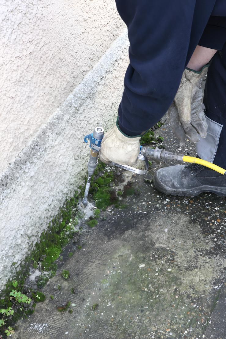 Person Spraying a Pest for Ants — Shark Pest Control in Noosa, QLD