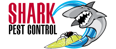 Pest Control Services on the Sunshine Coast Pest Control Services on the Sunshine Coast