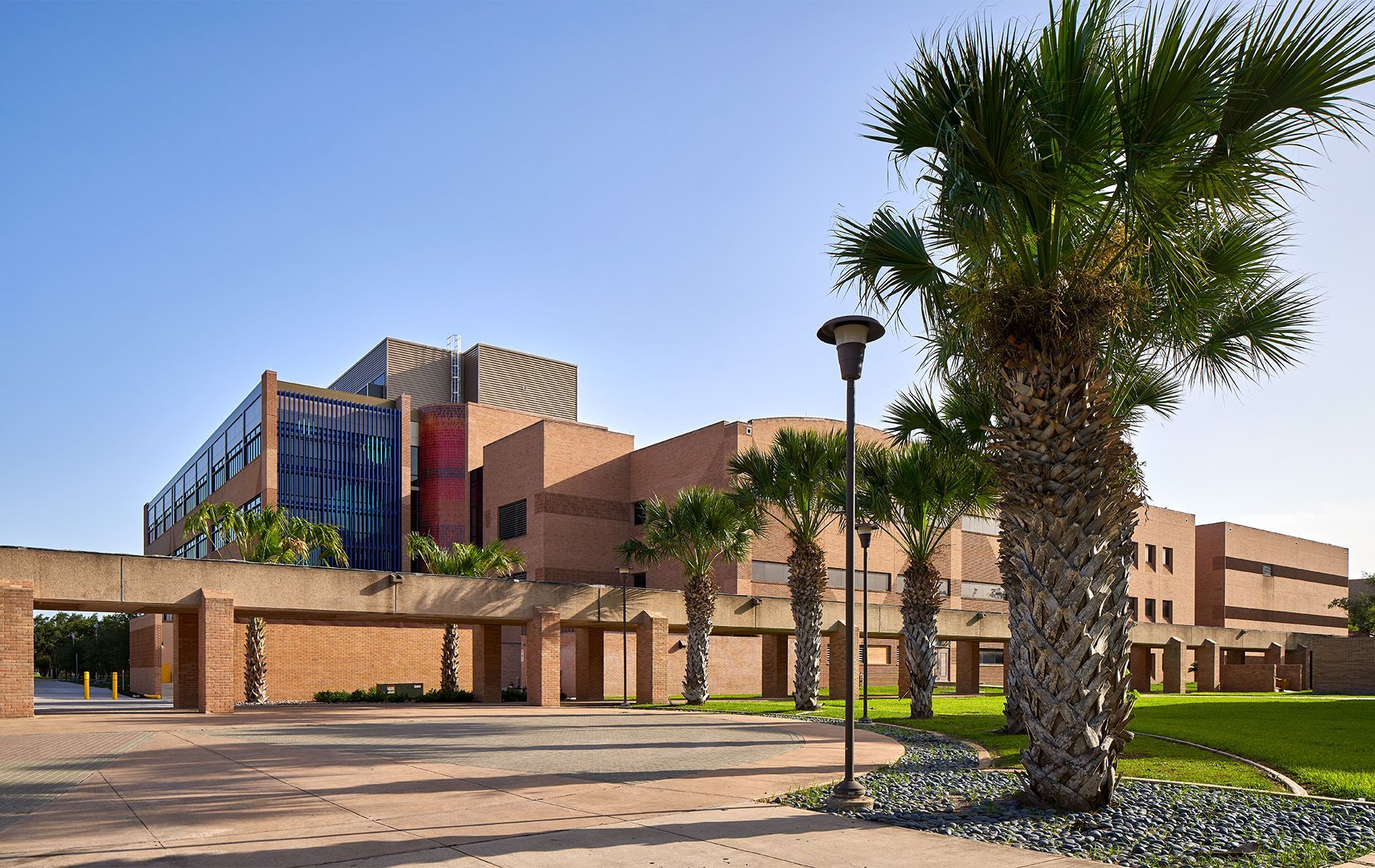 Modern brick campus building with glass facade, palm tree, and lamppost under a clear blue sky