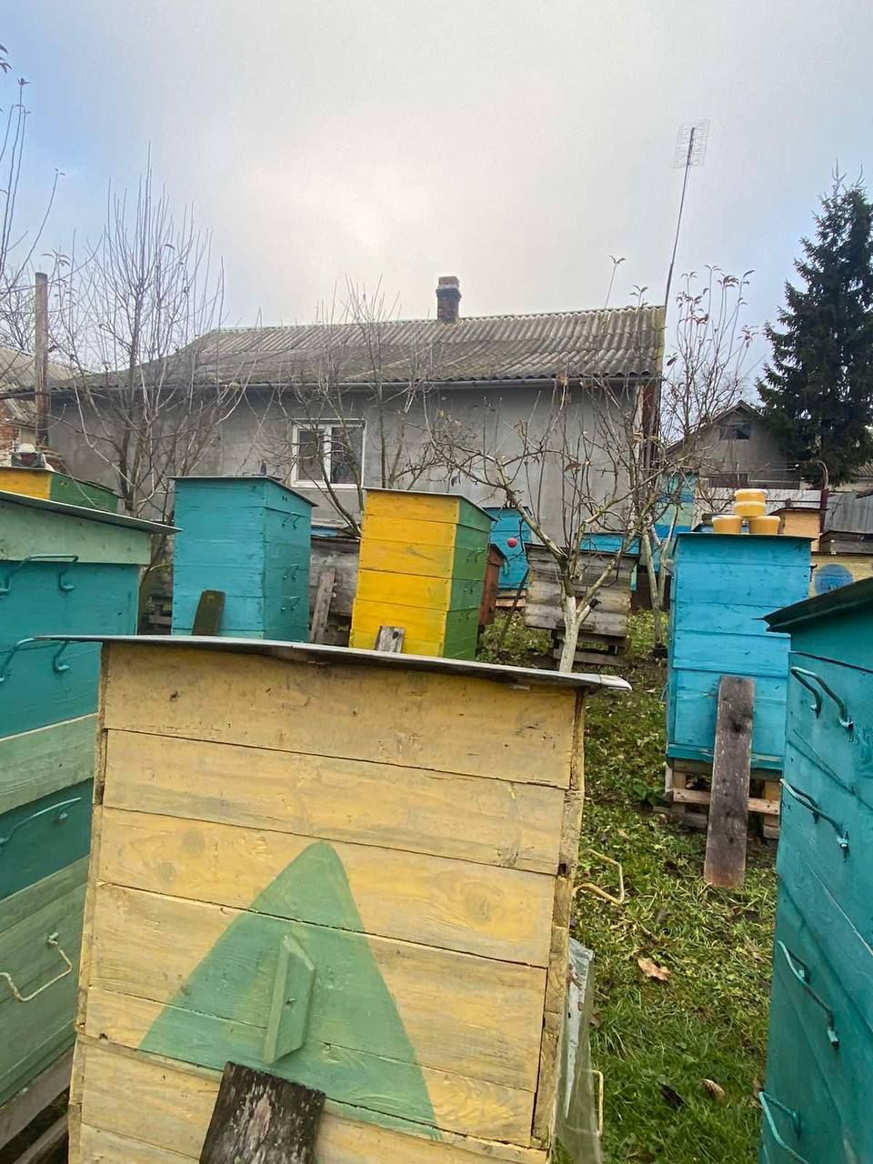 A bunch of beehives are sitting in front of a house.