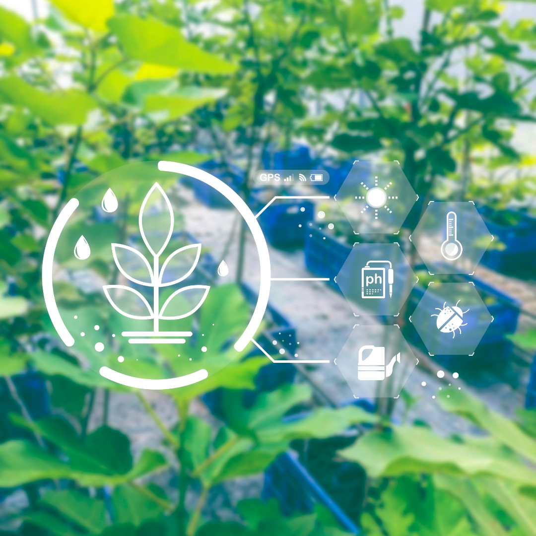 Sustentabilidade