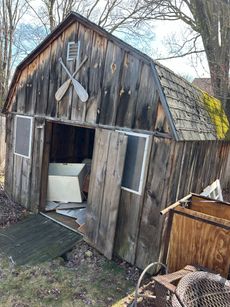 Weathered shed with empty window and doorway, surrounded by grass and trees.