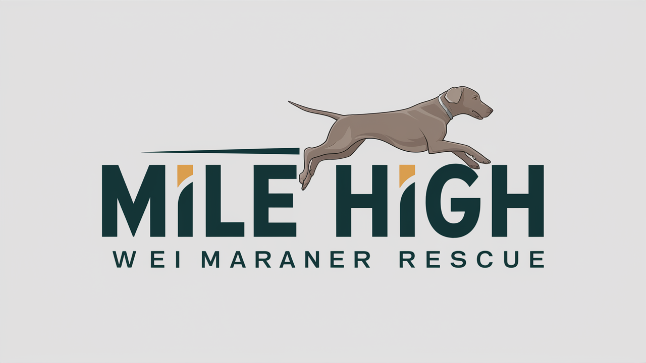 MHWR Rescue