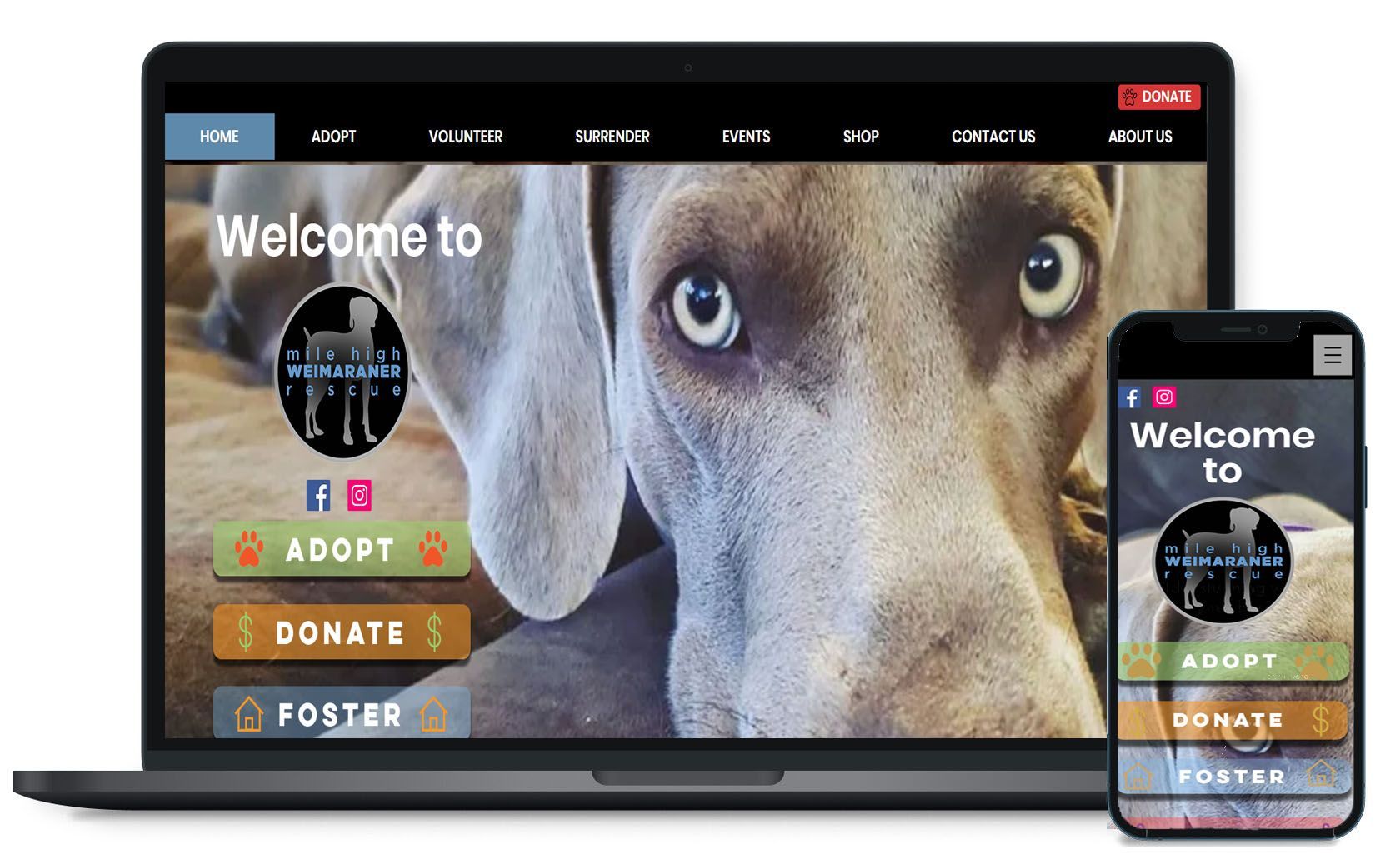 Mile High Weimaraner Rescue