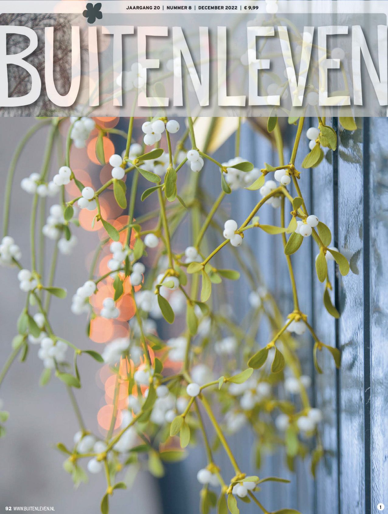Maretakkenboerderij Buitenleven