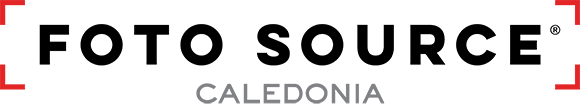 Flex logo with a lightning bolt icon in black and gray