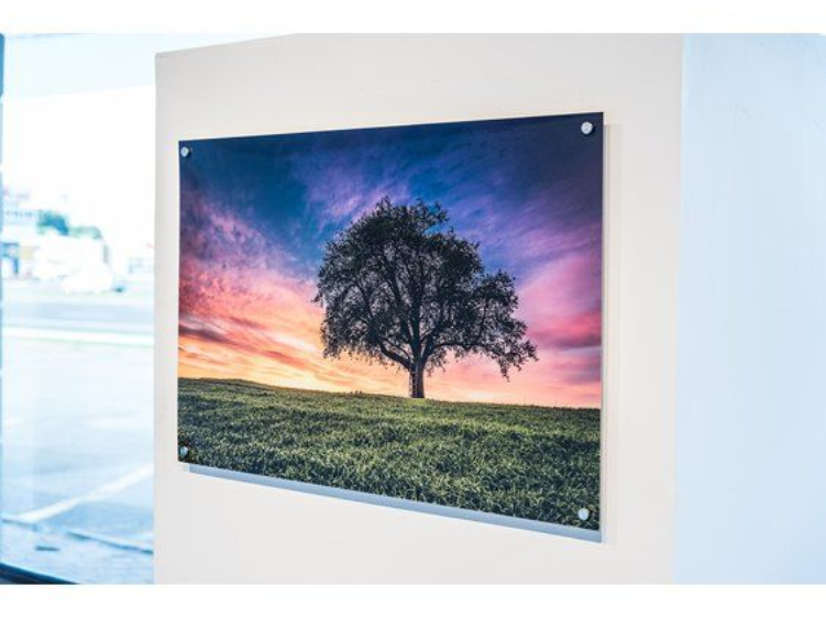 Framed landscape photo of a lone tree at sunset with pink-purple sky and green field