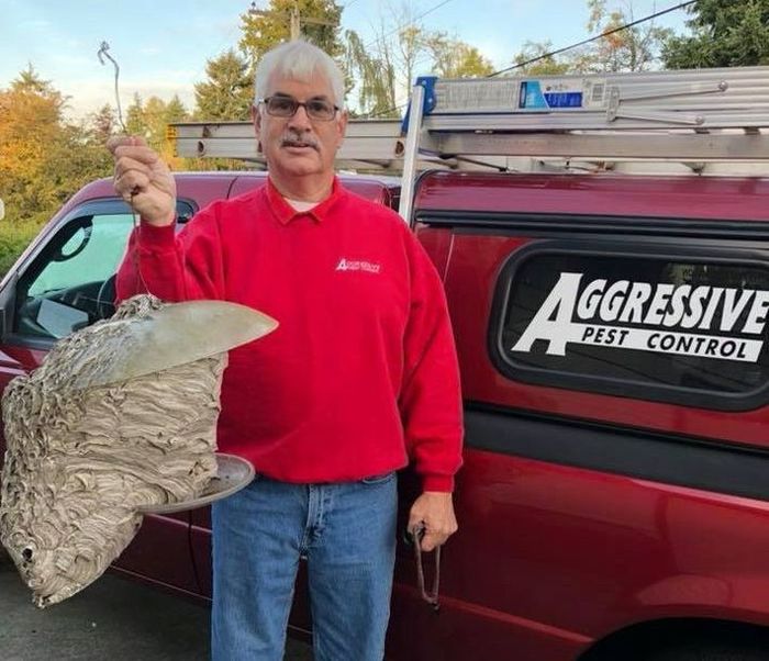 Aggressive Pest Control Owner Aggressive Pest Control Owner