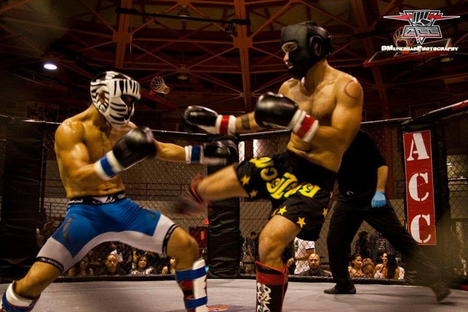 adult martial arts
