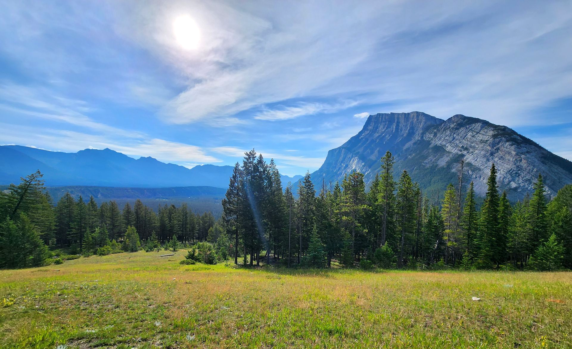 Grassy meadow with pine trees and a rocky mountain under a blue sky with wispy clouds