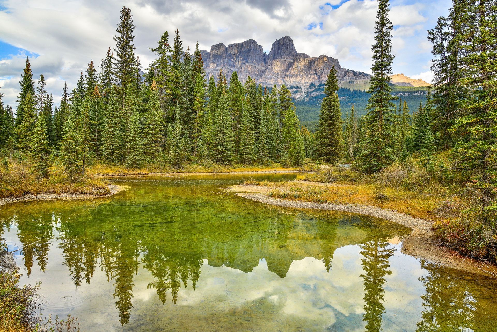 Mountain reflected in a calm pond, surrounded by evergreen trees and rugged peaks under a bright sky.