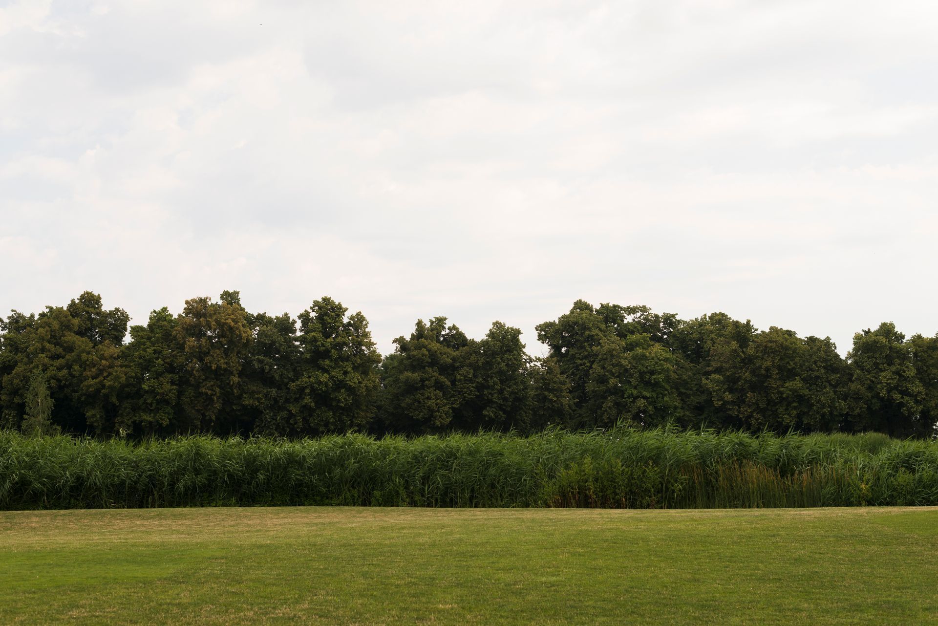 Open Central Texas homesite with young trees, the kind of lot evaluated before a custom build