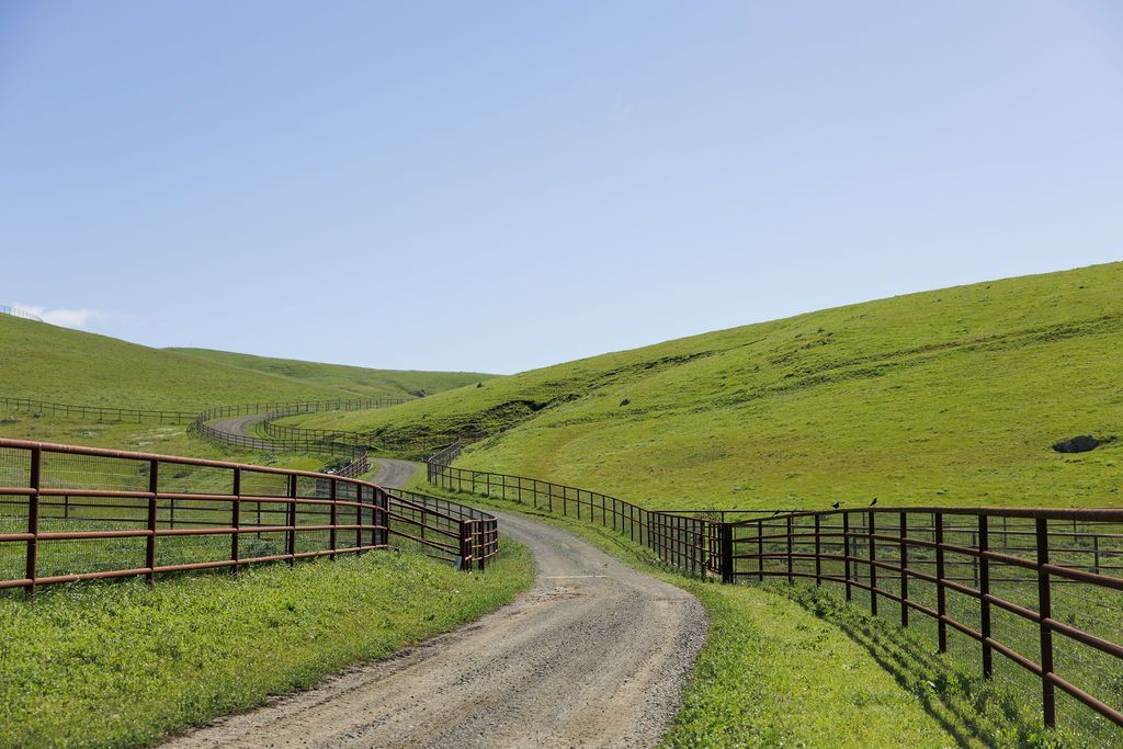 Curving dirt road through green rolling hills with metal fences under a clear blue sky
