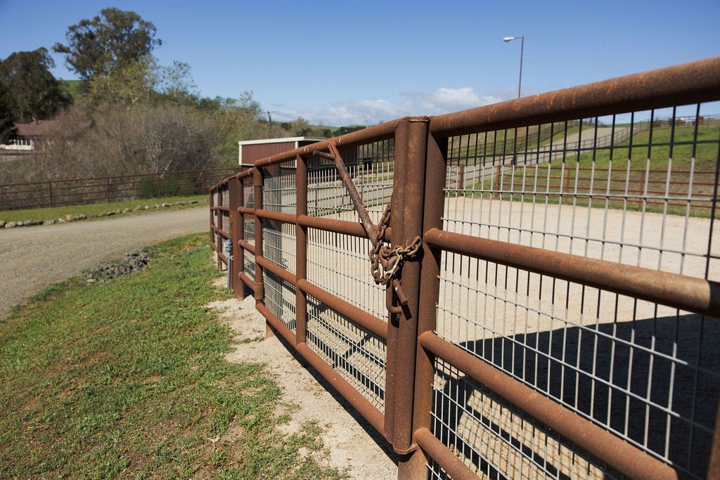 metal gate beside a curving road and grassy feld under a clear sky