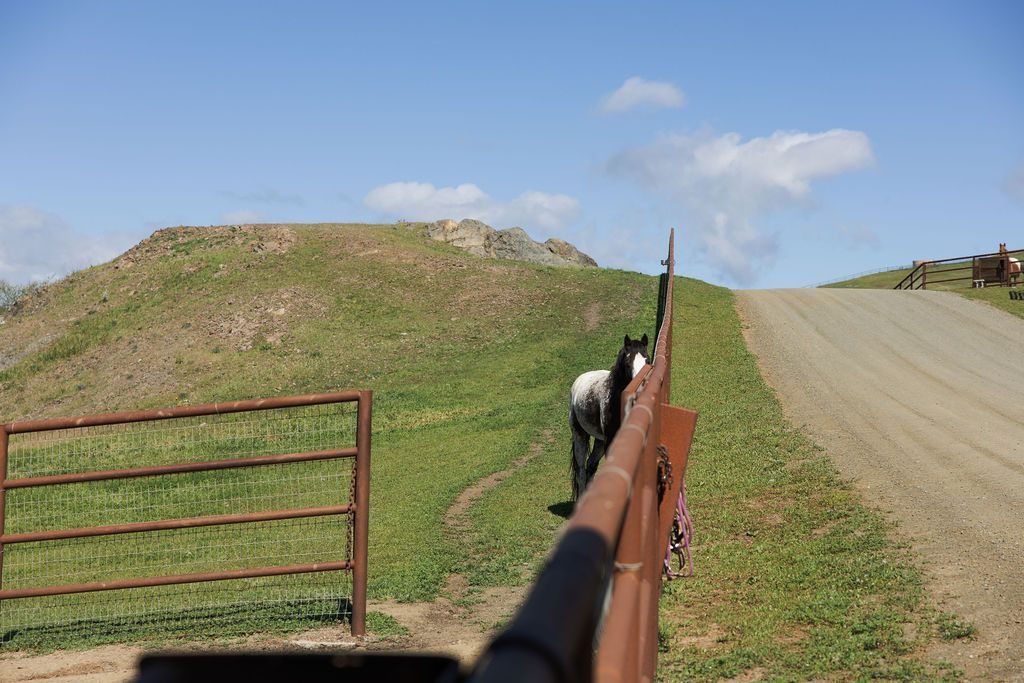 Fence line capturing grassy hill beside a dirt road under a blue sky
