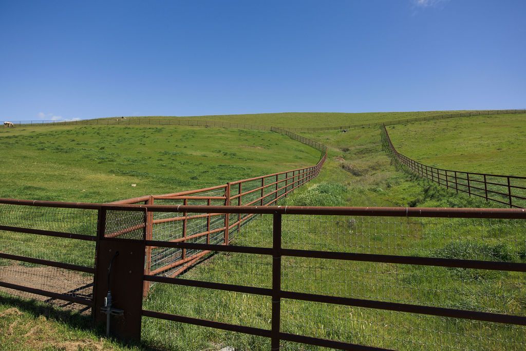 Rusty fence leading across a green hillside under a clear blue sky