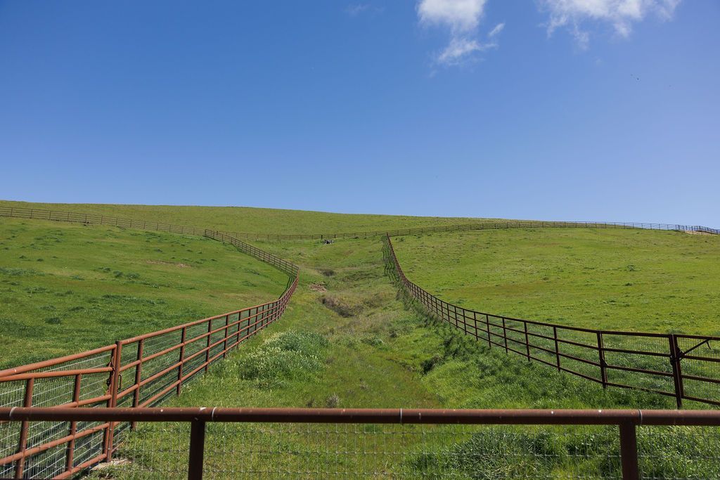 Grassy hillside with a narrow path and wooden fences under a blue sky with clouds