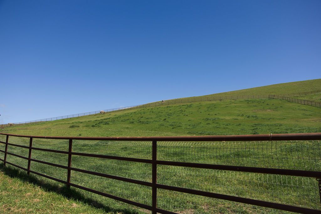 Grassy hillside under a clear blue sky, with a black fence in the foreground.