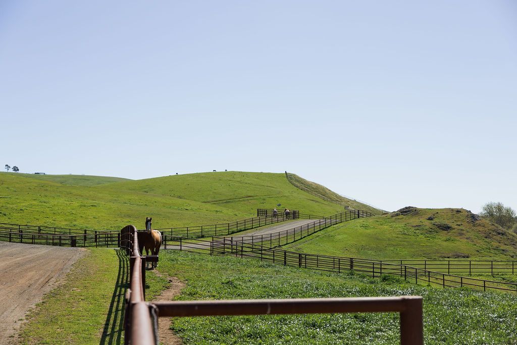 Fenced green pasture on a sunny hillside with a dirt path and a few horses in the distance
