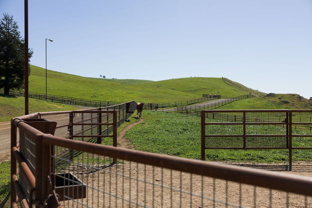 Rural fenced paddock with green hills under a clear blue sky
