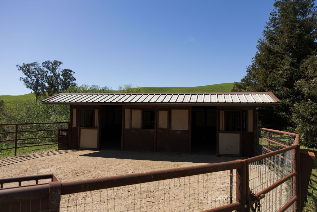 Small rustic stable or shed in a fenced paddock under a clear blue sky.
