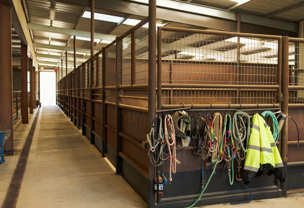 Covered stable aisle with horse stalls and hanging bridles, reins, and a high-visibility jacket