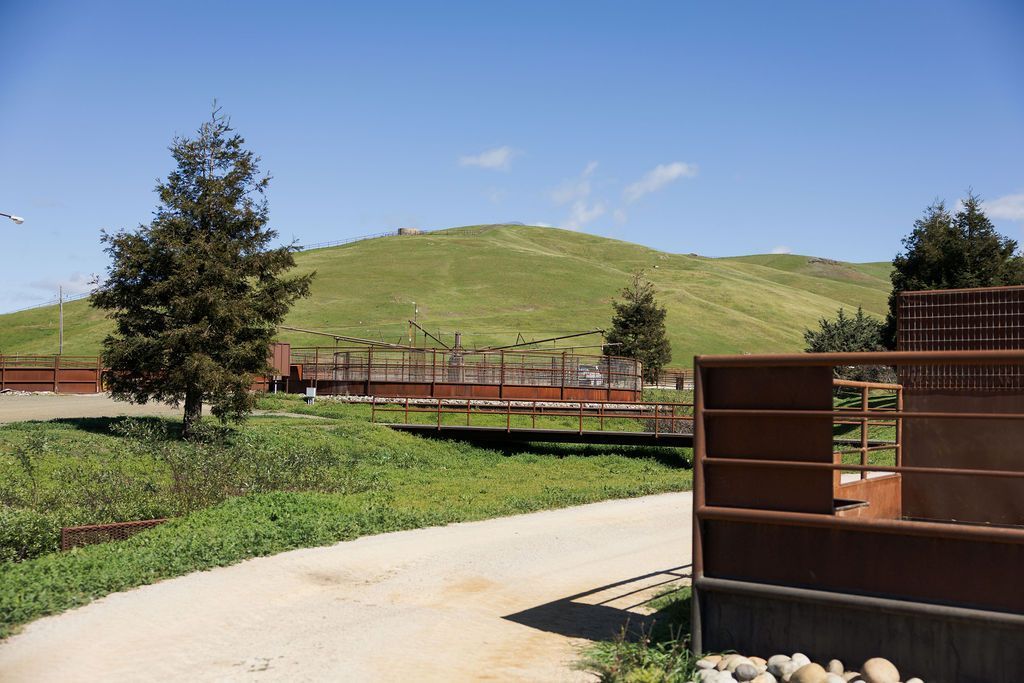 Grassy hill under blue sky beside a curving path, with a tree and wooden fence in the foreground