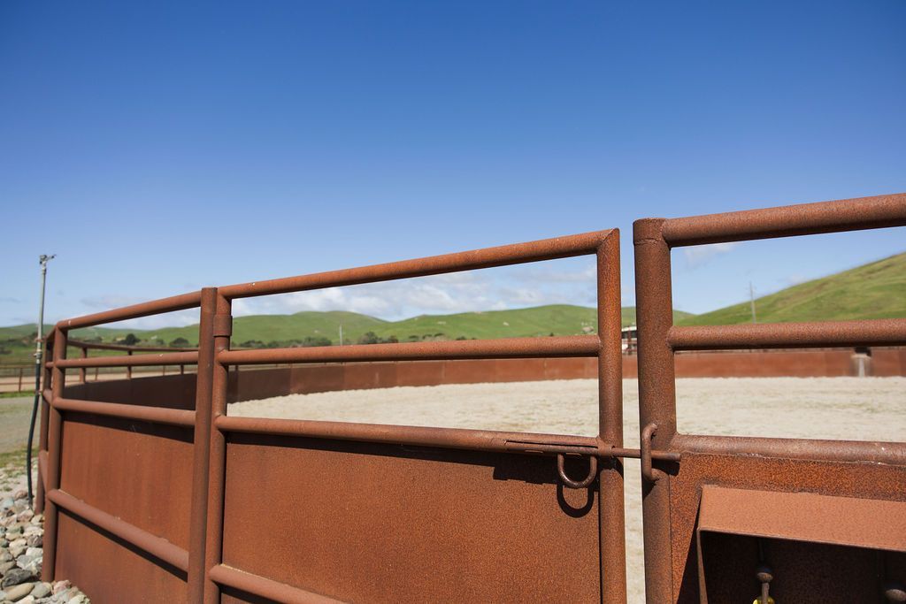 Rusty metal corral fence under a clear blue sky in a dry field