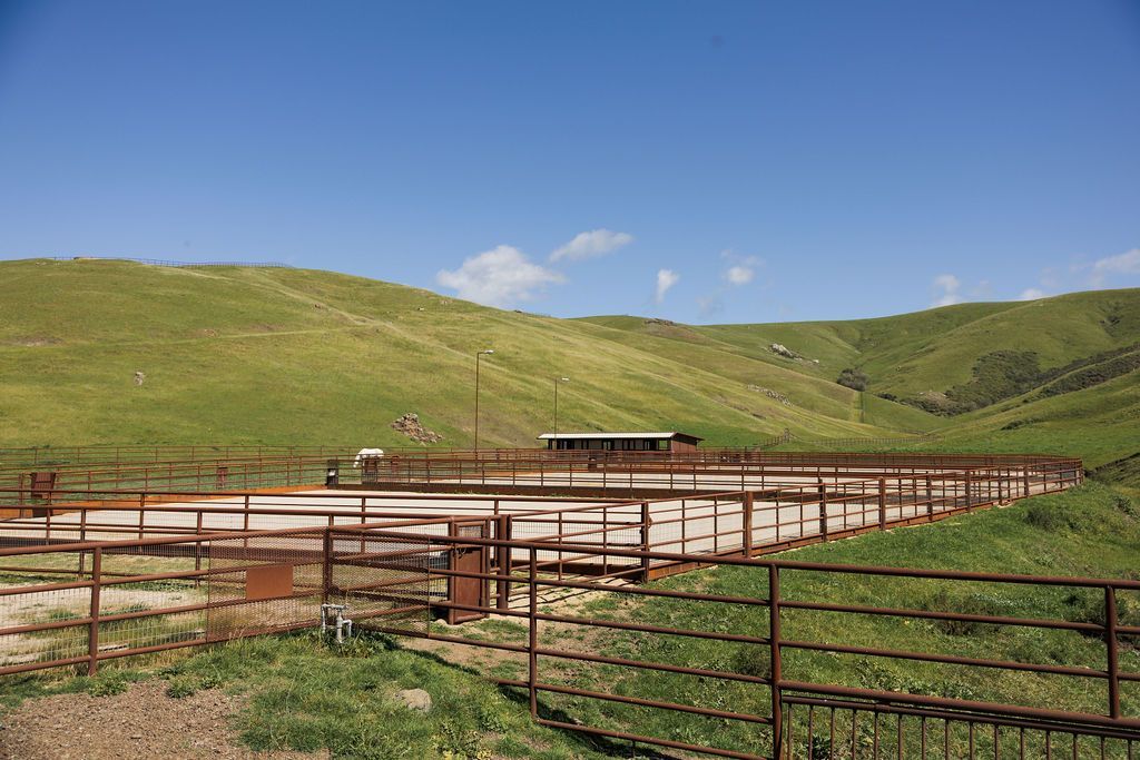 Rusty metal livestock pens in a green grassy field under a blue sky with hills in the background