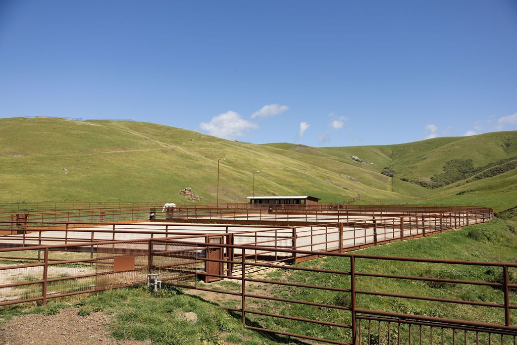 Rusty fenced livestock pen in a grassy hillside landscape under a blue sky