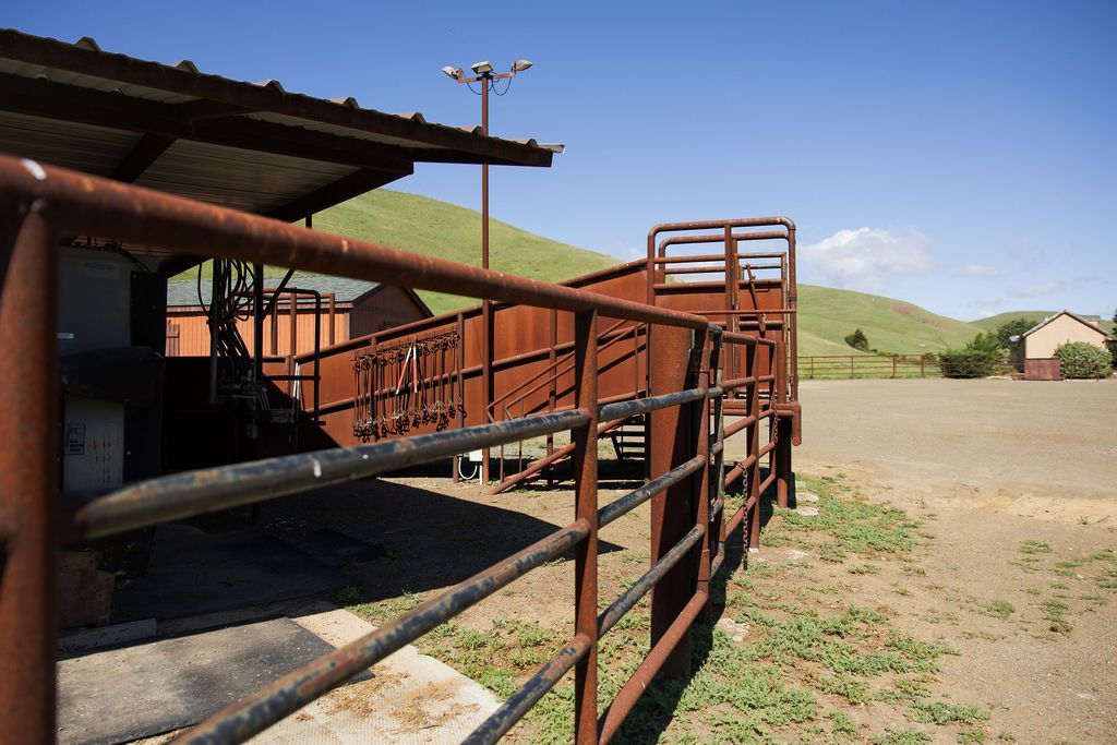 Rusted metal ramp and fence beside a barn, leading to a dirt yard under a clear blue sky.