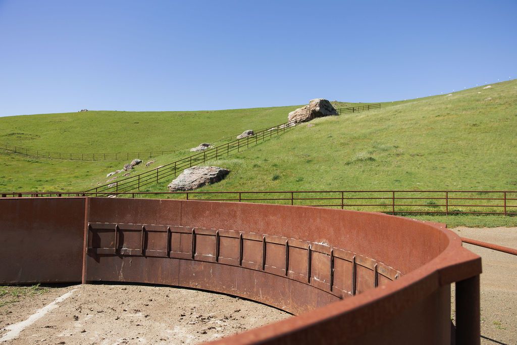 Curved rust-colored railing in foreground with green hillside and stone steps under a clear blue sky