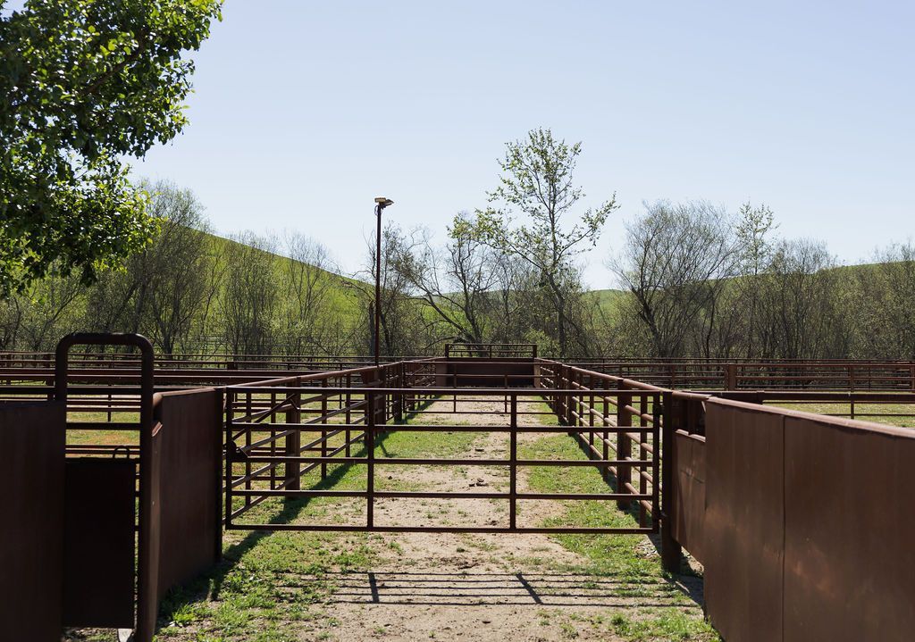 Rural metal gate and fenced path leading through a green wooded area on a sunny day
