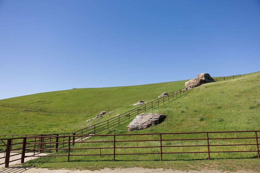 Grassy hillside with rocks, a fence, and a clear blue sky above.