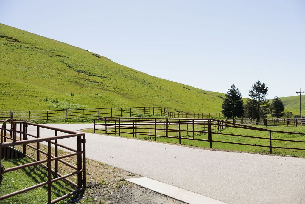 Grassy hillside beside a paved path with wooden fencing and a few trees under a clear sky