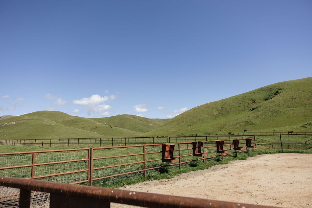 Fenced pasture with green hills under a clear blue sky, seen from a gravel road