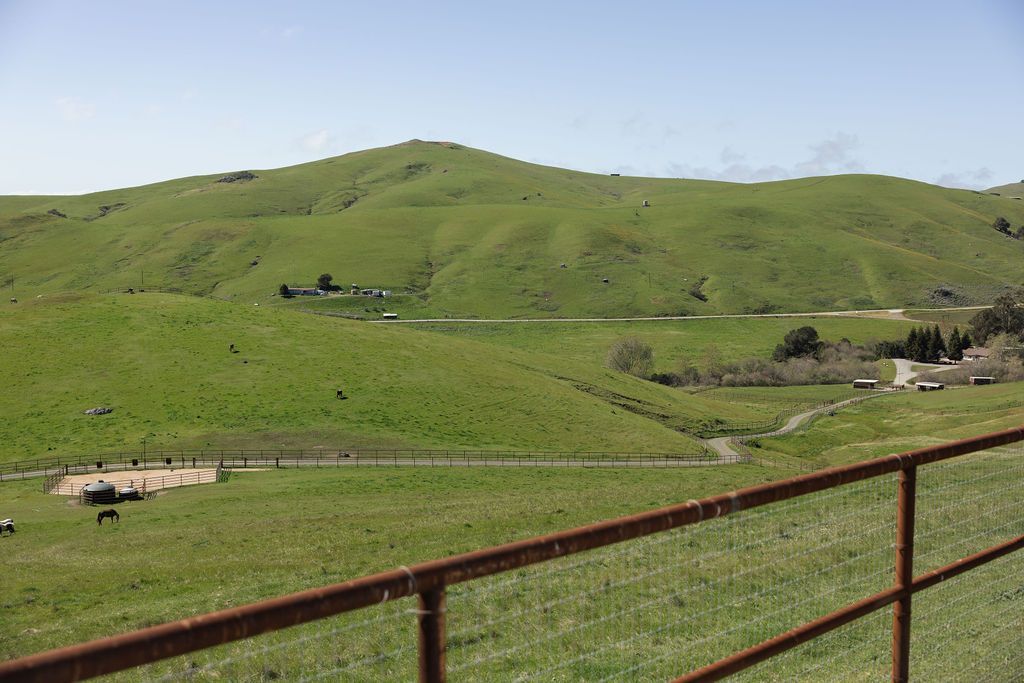 Green rolling hills under a clear sky, with a rust-colored fence in the foreground.