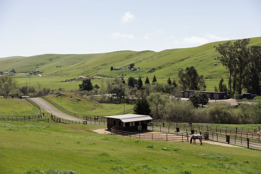 Green hillside pasture with fenced path, small shed, and grazing horses under a clear sky