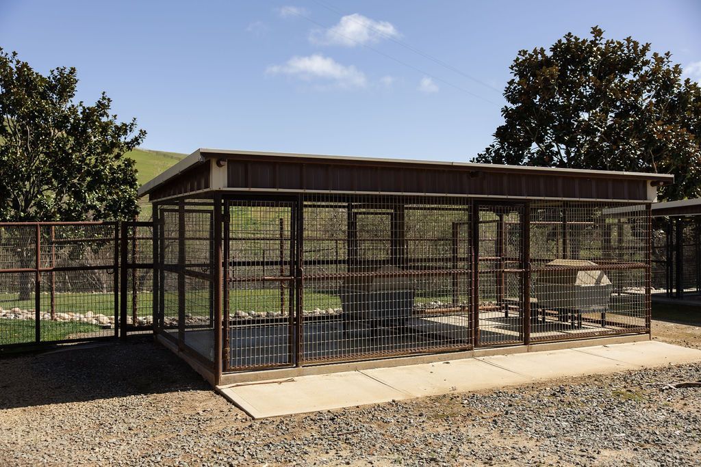 Outdoor kennel with metal fencing and a corrugated roof on a gravel lot under a blue sky