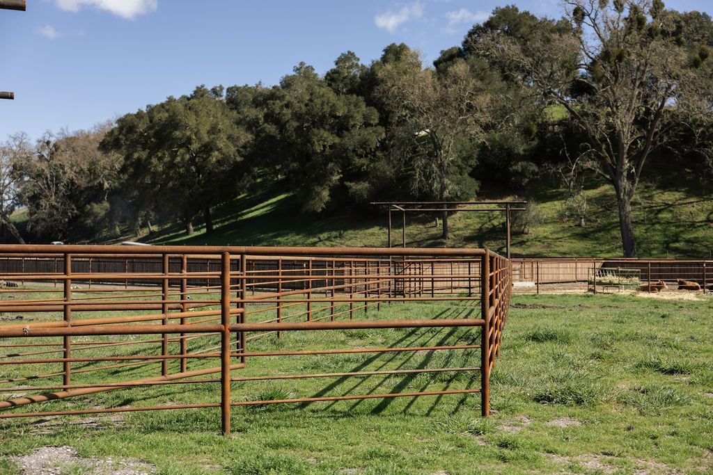 Rusty metal gate in a grassy field with trees and a hillside in the background