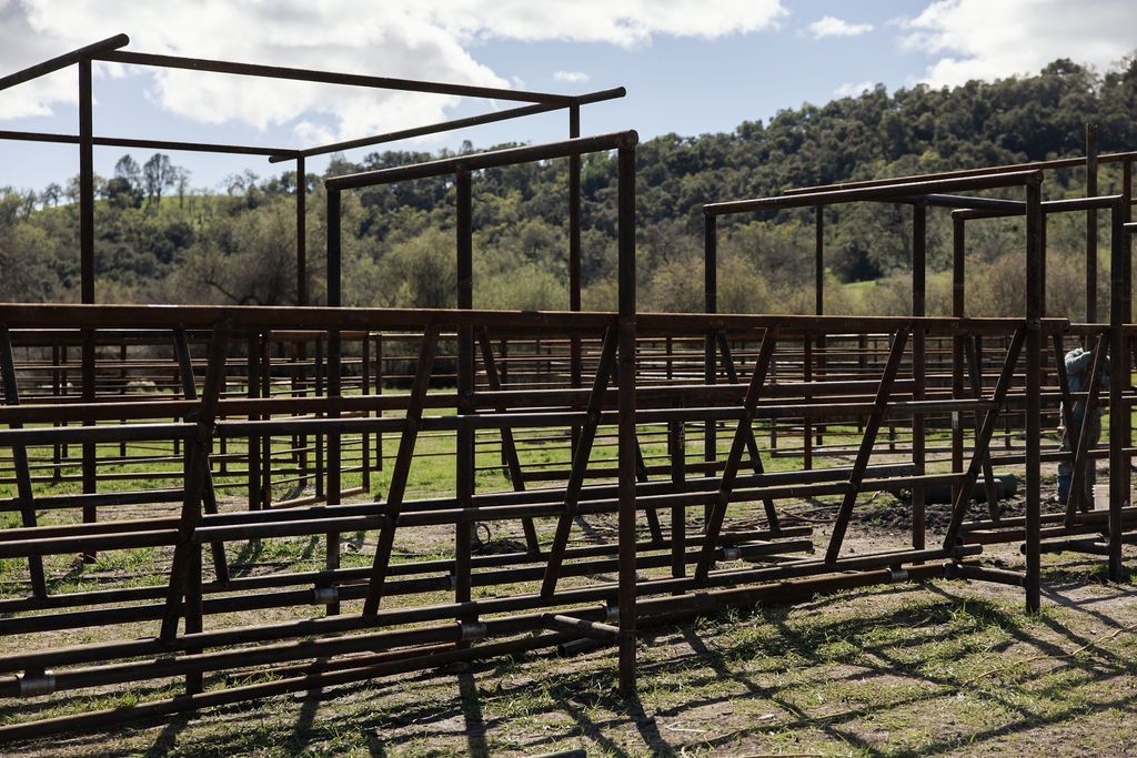 Metal livestock pens in an outdoor field under a cloudy sky