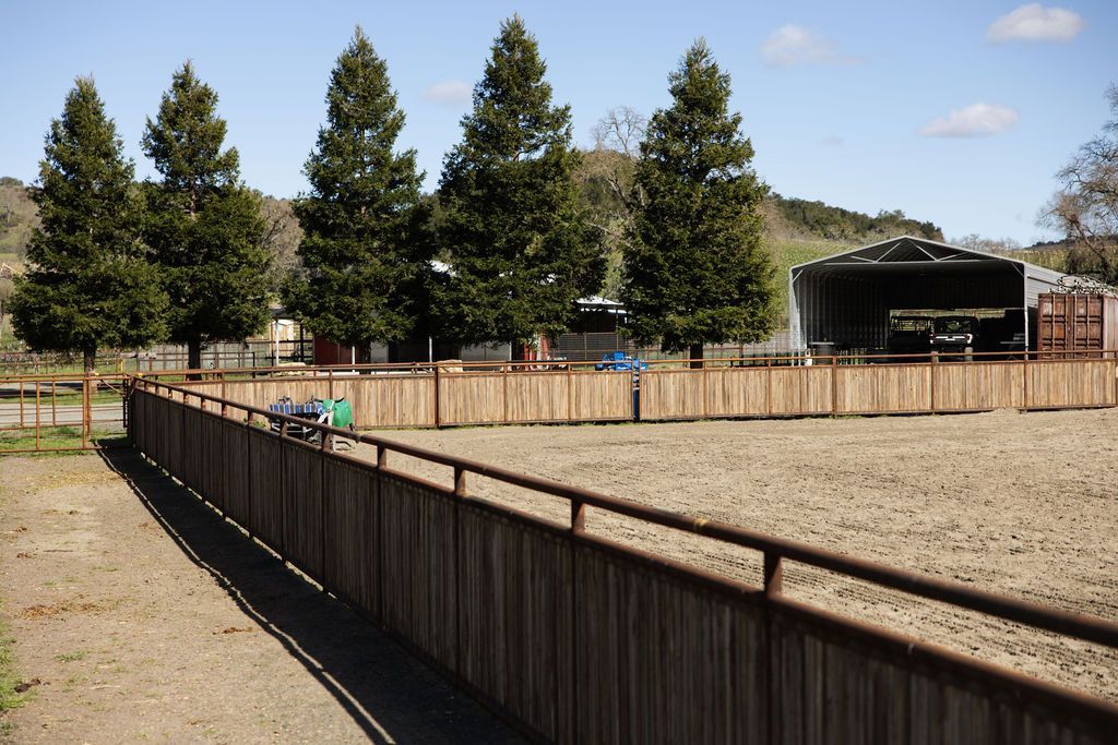 Wooden rail-lined dirt arena beside trees and a stage under a clear sky
