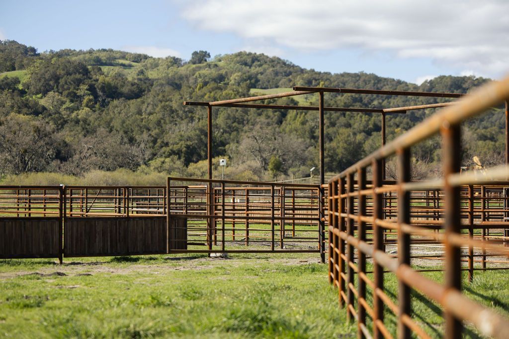 Rusty metal corral fencing in a grassy field with wooded hills in the background