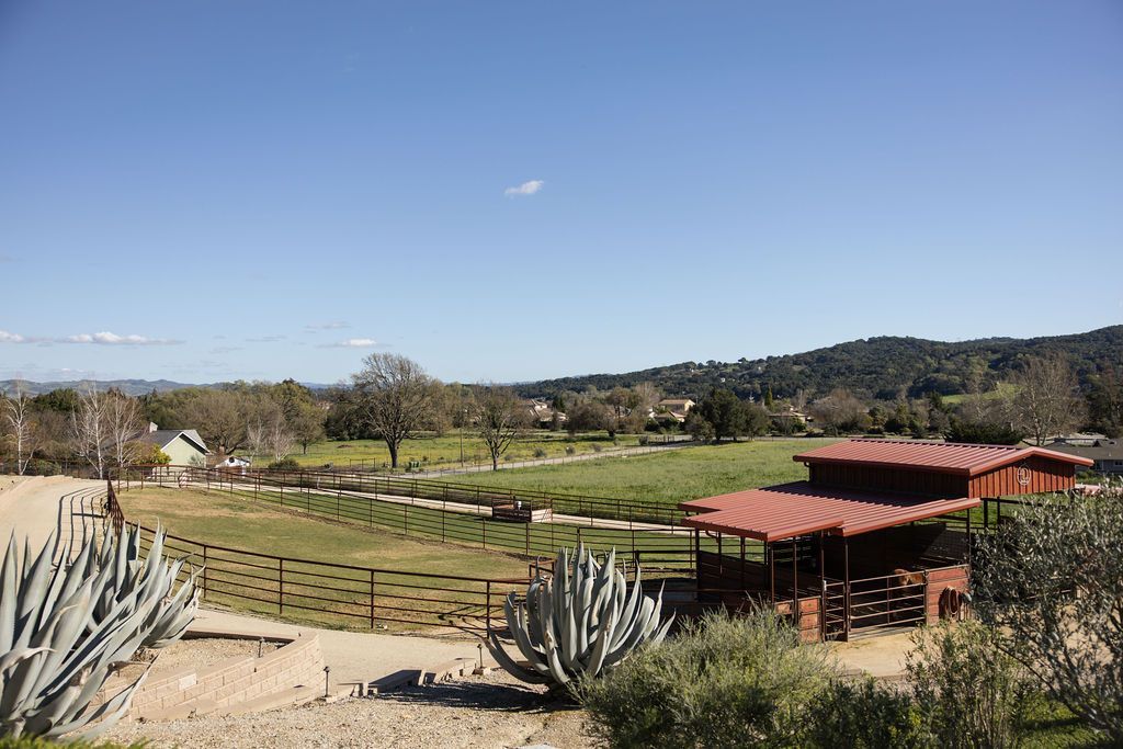 Sunny vineyard with rows of grapevines, agave plants, and a red-roofed pergola in the foreground